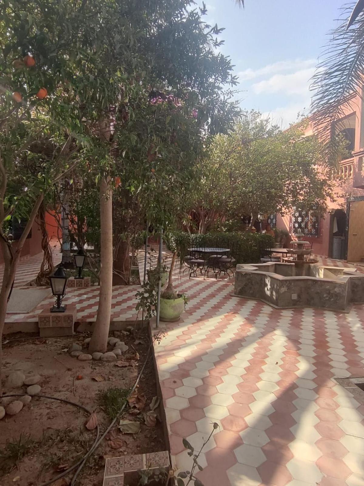 Riad Les Jardins Mabrouk 塔鲁丹特 外观 照片