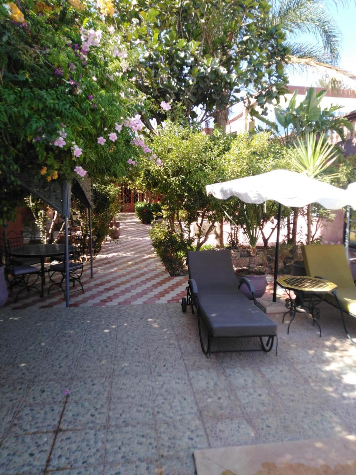 Riad Les Jardins Mabrouk 塔鲁丹特 外观 照片