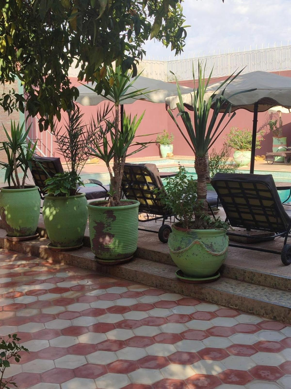 Riad Les Jardins Mabrouk 塔鲁丹特 外观 照片