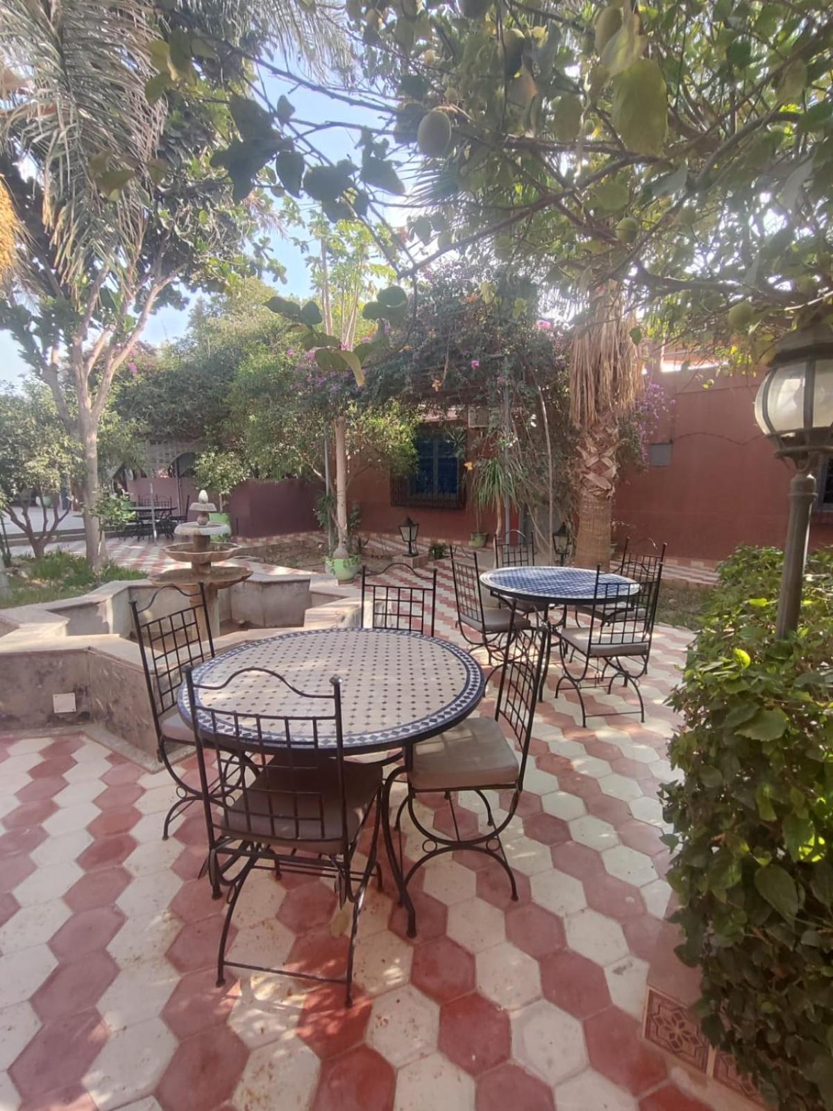 Riad Les Jardins Mabrouk 塔鲁丹特 外观 照片