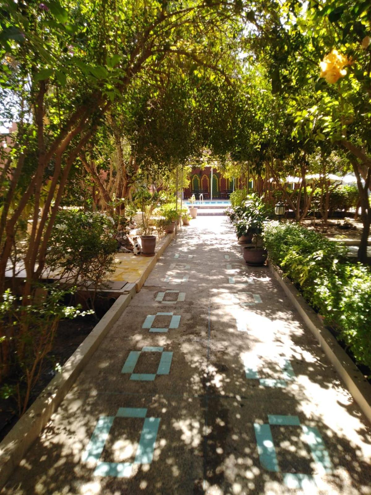Riad Les Jardins Mabrouk 塔鲁丹特 外观 照片