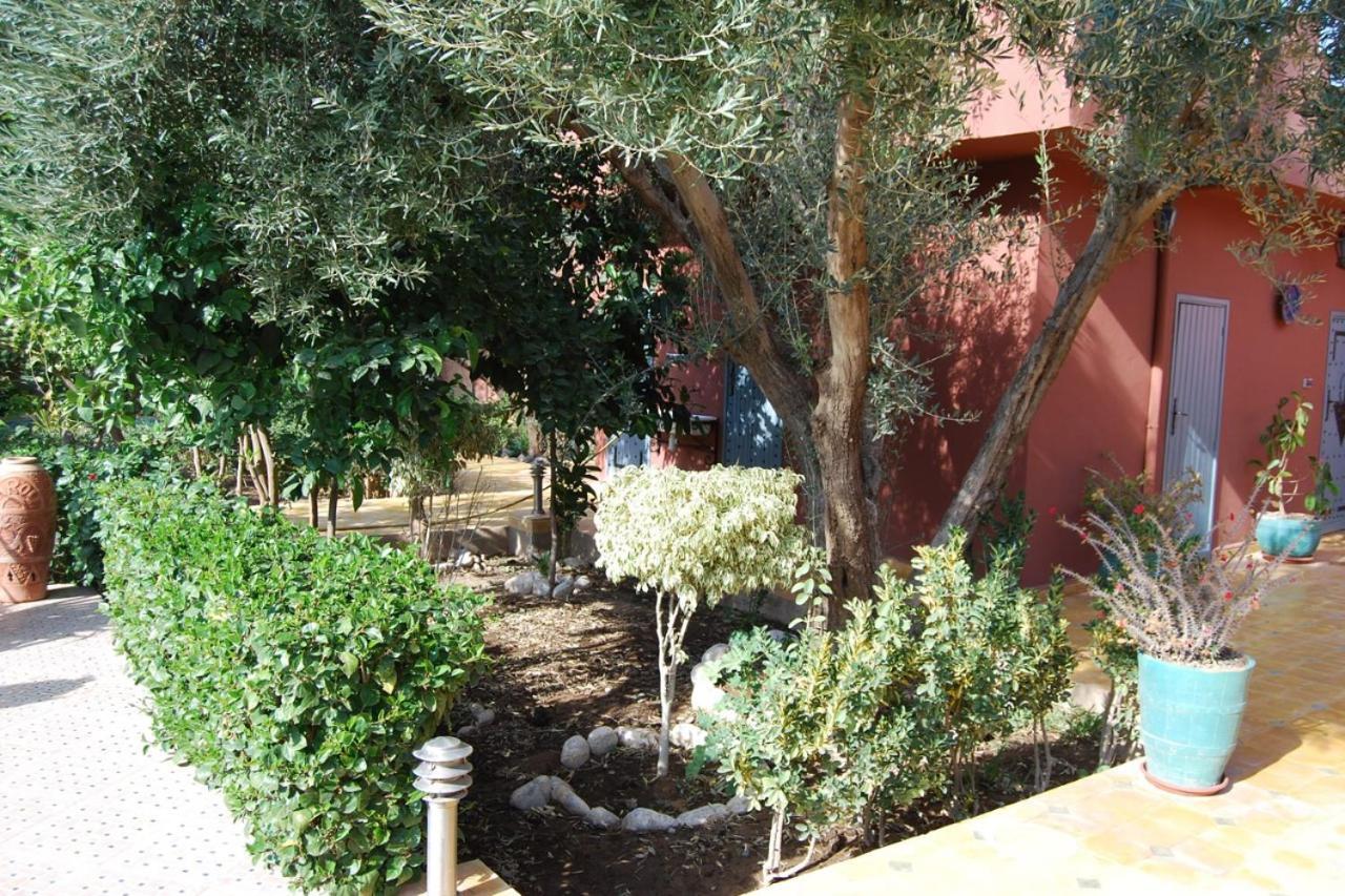 Riad Les Jardins Mabrouk 塔鲁丹特 外观 照片